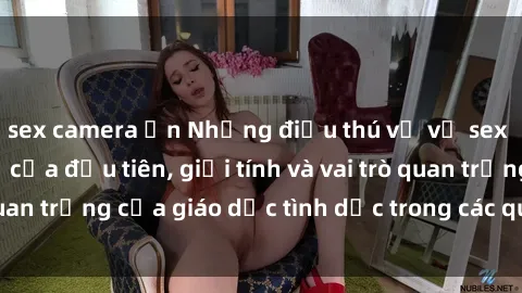 sex camera ẩn Những điều thú vị về sex ở Bắc Âu: Sự mở cửa đầu tiên, giới tính và vai trò quan trọng của giáo dục tình dục trong các quốc gia này.